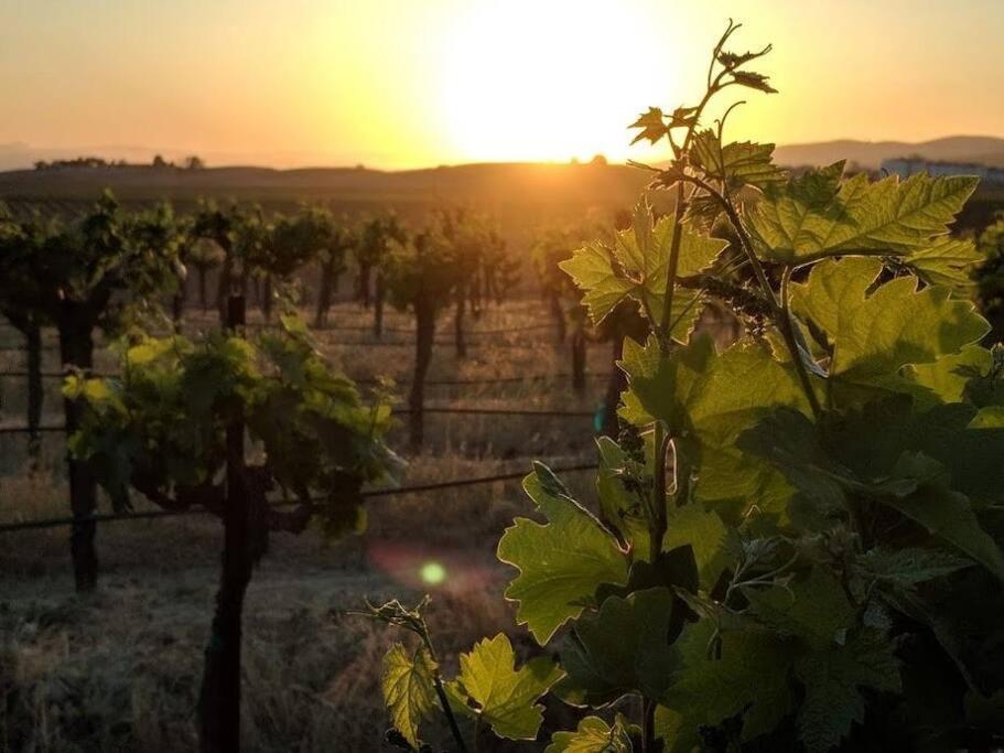 The Vineyard Farmhouse Villa Paso Robles Luaran gambar